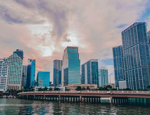 miami icon
